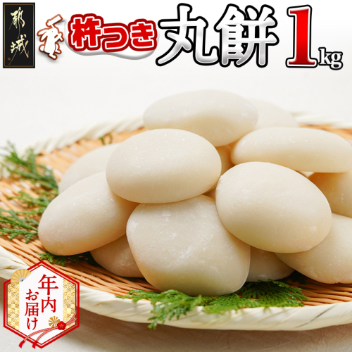 【年内お届け】菓子職人が作った杵つき丸餅 1kg (都城産もち米) ≪2025年12月25日発送≫_12-1511-HNY 2084452 - 宮崎県都城市