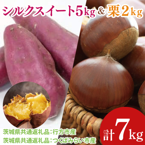 【先行予約】【2025年9月より順次発送】シルクスイート5kg と 栗2kg（茨城県共通返礼品：行方市、つくばみらい市）｜さつまいも サツマイモ くり セット 数量限定 茨城県 大子町（CD123） 2084764 - 茨城県大子町