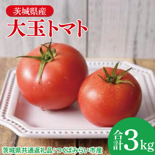 大玉トマト 3kg（茨城県共通返礼品：つくばみらい市産）|トマト　大きい 野菜 夏野菜 数量限定 つくばみらい市産 共通返礼品 茨城県 大子町（CD148） 2084940 - 茨城県大子町