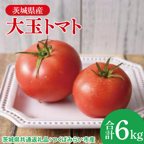 大玉トマト 6kg（茨城県共通返礼品：つくばみらい市産）|トマト　大きい 野菜 夏野菜 数量限定 つくばみらい市産 共通返礼品 茨城県 大子町（CD149） 2084941 - 茨城県大子町