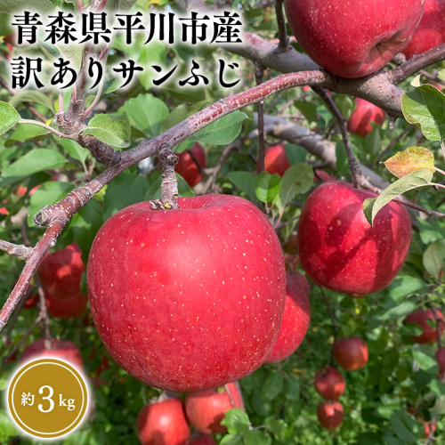 12月 訳あり サンふじ 約3kg【なるみ農園・青森りんご・平川市産・12月・数量限定】 2085028 - 青森県平川市