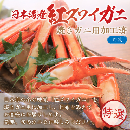 【特選】日本海産紅ズワイガニ（かに鍋、焼きガニ用加工済）
 2085613 - 京都府京丹後市