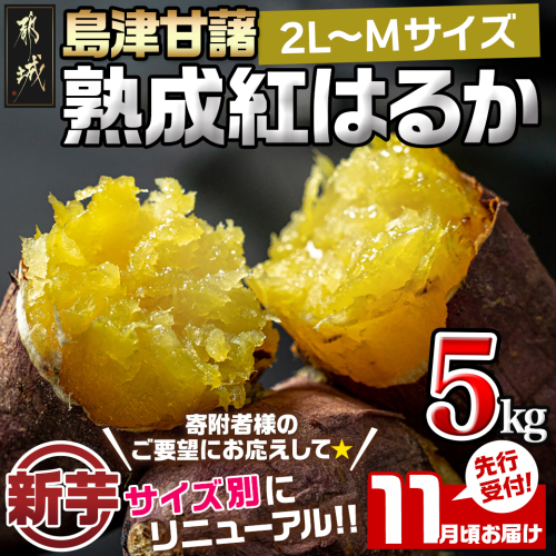 先行受付!【11月お届け】島津甘藷 熟成紅はるか 5kg(2L~M)_LD-A701-11 208580 - 宮崎県都城市