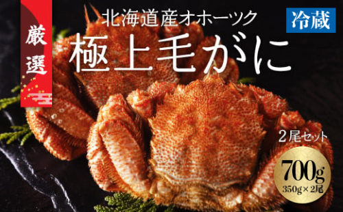 今だけ冷蔵配送!オホーツク網走の流氷明け浜ゆで毛ガニ2尾(1尾約350g) ABC031 2085984 - 北海道網走市