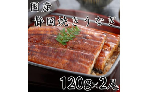 【国産】静岡焼きうなぎ　120g×2食　合計240g 2086205 - 静岡県静岡市