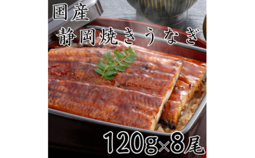 【国産】静岡焼きうなぎ　120g×8食　合計960g 2086209 - 静岡県静岡市
