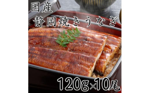 【国産】静岡焼きうなぎ　120g×10食　合計1,200g 2086210 - 静岡県静岡市