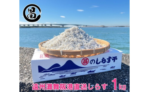 しらす 遠州灘舞阪港直送 しらす干し 1kg (250g×4袋) 小分け 冷凍 シラス 【配送不可:離島】 浜松市 2086222 - 静岡県浜松市