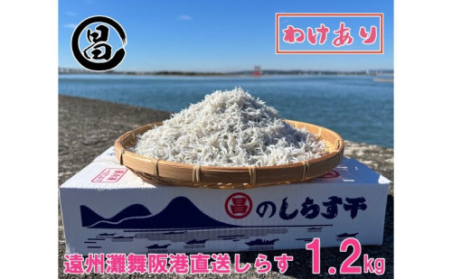 わけあり しらす 遠州灘舞阪港直送 しらす干し 1.2kg 冷凍 シラス 訳アリ 【配送不可:離島】 浜松市 2086224 - 静岡県浜松市