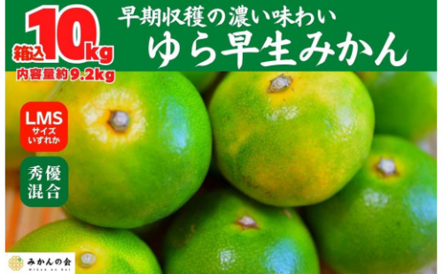 ゆら早生 みかん 箱入 10kg (内容量 9.2kg)  SMLサイズのいずれか 秀品 優品 混合 有田みかん 和歌山県産 【みかんの会】 2086969 - 和歌山県有田川町