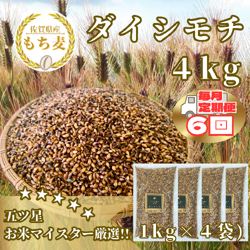 CIB43_【６回定期便】ダイシモチ４ｋｇ もち麦 キラリ もち麦ごはん 2087048 - 佐賀県みやき町
