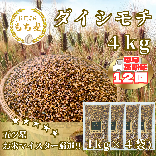 CIB44_【１２回定期便】ダイシモチ４ｋｇ もち麦 キラリ もち麦ごはん 2087049 - 佐賀県みやき町