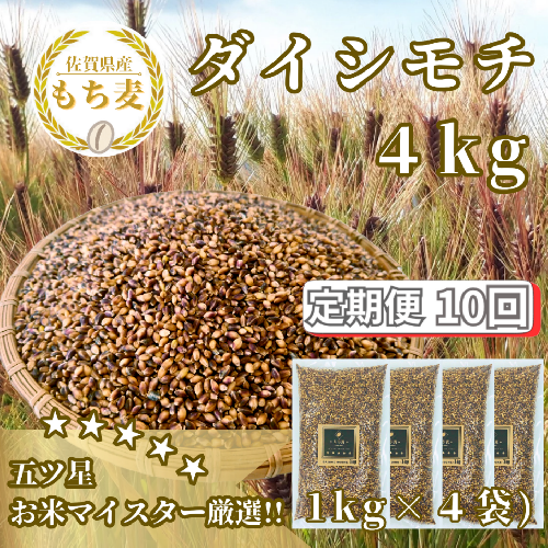 CIB46_【１０回定期便】ダイシモチ４ｋｇ もち麦 キラリ もち麦ごはん 2087050 - 佐賀県みやき町