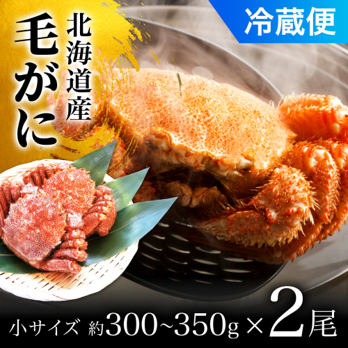 毛がに小サイズ２ハイ（冷蔵） OSMA001【 ふるさと納税 人気 おすすめ ランキング かに カニ 蟹 毛ガニ 毛蟹 塩ゆで ボイル ゆでたて 冷蔵 鍋 パスタ かにめし 炊き込みご飯 かにみそ かに味噌 甲羅盛り 北海道 長万部町 送料無料 】 2087058 - 北海道長万部町