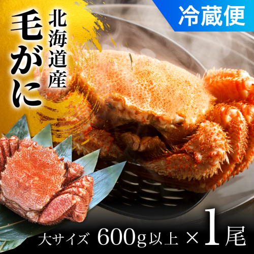 毛がに大サイズ１ハイ（冷蔵） OSMA005【 ふるさと納税 人気 おすすめ ランキング かに カニ 蟹 毛ガニ 毛蟹 塩ゆで ボイル ゆでたて 冷蔵 鍋 パスタ かにめし 炊き込みご飯 かにみそ かに味噌 甲羅盛り 北海道 長万部町 送料無料 】 2087060 - 北海道長万部町