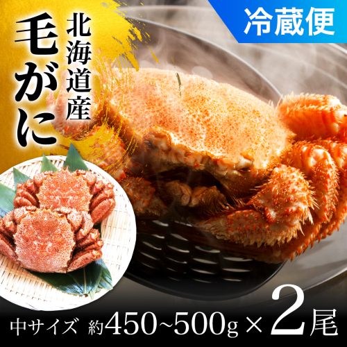 毛がに中サイズ２ハイ（冷蔵） OSMA007【 ふるさと納税 人気 おすすめ ランキング かに カニ 蟹 毛ガニ 毛蟹 塩ゆで ボイル ゆでたて 冷蔵 鍋 パスタ かにめし 炊き込みご飯 かにみそ かに味噌 甲羅盛り 北海道 長万部町 送料無料 】 2087149 - 北海道長万部町