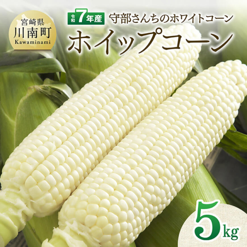 【令和7年度産】守部さんちのホワイトコーン「ホイップコーン」5kg【 とうもろこし ホワイトコーン トウモロコシ ホイップコーン 令和7年発送 先行予約 数量限定 期間限定 】 2087197 - 宮崎県川南町