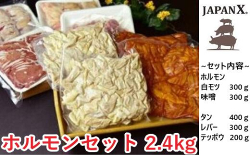 JAPAN X ホルモンバラエティセット2.4kg(モツタンレバーハラミテッポウ）　【04301-0070】 2087421 - 宮城県蔵王町