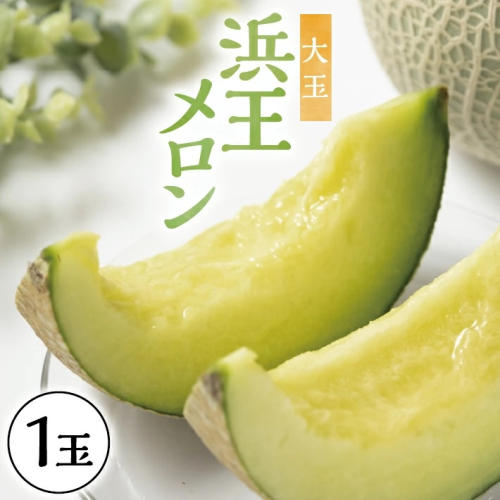 SZ0265　酒田の果物専門店厳選　庄内砂丘 浜王メロン大玉　1.4kg以上(1玉入) 2088084 - 山形県酒田市