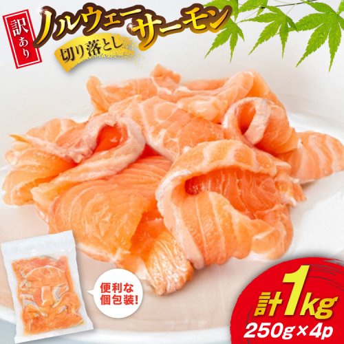 訳あり 無添加 ノルウェー産 アトランティックサーモン 切り落とし おさしみ用 1kg 250gx4p [足利本店 宮城県 気仙沼市 20565177] サーモン さけ サケ 魚介類 鮭 お刺し身 刺し身 刺身 個包装 海鮮 海鮮丼 魚介 魚 個包装 小分け 冷凍 真空包装 ノルウェー 2088085 - 宮城県気仙沼市