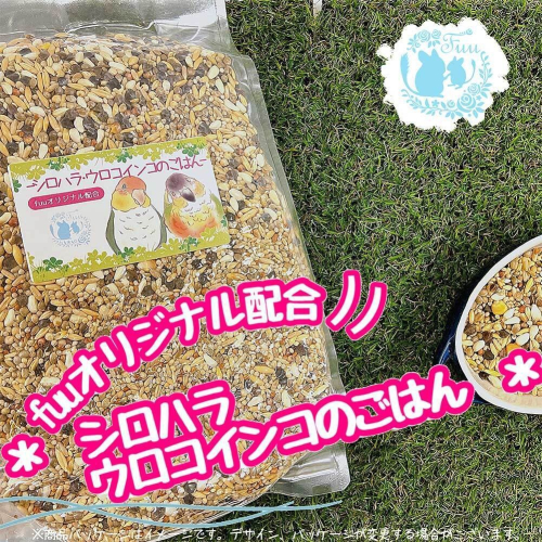 【3ヶ月定期便】fuu シロハラインコ・ウロコインコのごはん（800g）［145S57-T］ 2090260 - 愛知県小牧市