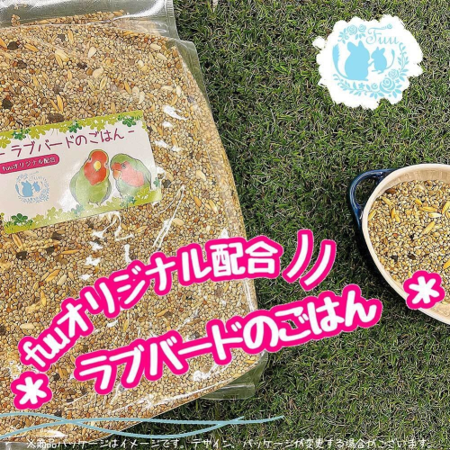 【3ヶ月定期便】fuu ラブバードのごはん（800g）［145S63-T］ 2090265 - 愛知県小牧市