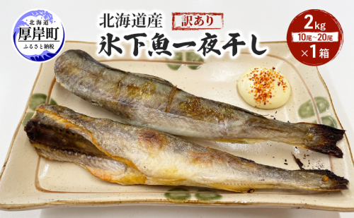 北海道産 訳あり 氷下魚 一夜干し 2kg こまい コマイ 魚 魚介類 白身魚 干物 ひもの 北海道 厚岸町 2090594 - 北海道厚岸町