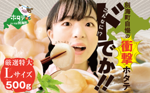 【旅サラダで紹介！】【ホタテ禁輸措置生産地支援品】
Lサイズのみ厳選！北海道 野付産ホタテ 500g【be018-0229】（ほたて ホタテ 帆立 貝柱 ホタテ貝柱 大玉 大粒 北海道 別海 野付 ふるさと納税） 2090937 - 北海道別海町