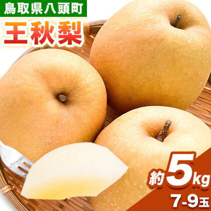 【先行予約】 梨 王秋梨 約5kg (7～9玉入り) 旬菜まるや 《2025年11月中旬～2026年1月中旬頃出荷》 鳥取県 八頭町 送料無料 なし 果物 フルーツ お取り寄せ 5kg 2091121 - 鳥取県八頭町