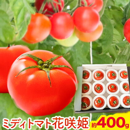 【先行予約】ミディトマト 花咲姫 400g 井尻農園 《6月中旬-8月上旬頃出荷》鳥取県 八頭町 送料無料 トマト ミディ 野菜 2091122 - 鳥取県八頭町