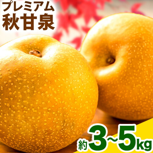 【先行予約】プレミアム 秋甘泉 選べる 約 3kg (4～10玉) 約 5kg (7～16玉) 高間商店《2025年8月下旬-10月上旬頃出荷》鳥取県 八頭町 梨 なし ナシ 果物 フルーツ プレミアム　果汁　ふるさと納税　秋甘泉梨　果実　甘い　高間商店　オリジナル品種 2091134 - 鳥取県八頭町