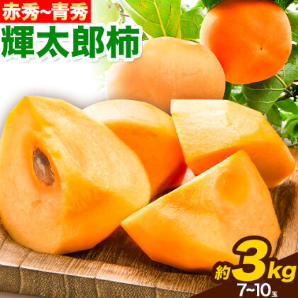 【先行予約】輝太郎柿 赤秀 ～ 青秀 3kg 7～10玉 《2025年10月上旬-10月末頃出荷予定》JA鳥取いなば 鳥取県 八頭町 柿 かき カキ くだもの くだもの 果物 青果物 フルーツ 2091140 - 鳥取県八頭町