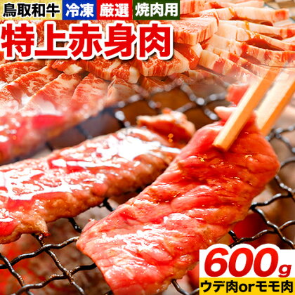 鳥取和牛 焼肉用特上赤身肉《90日以内に出荷予定(土日祝除く)》鳥取県 八頭町 和牛 牛肉 牛 焼き肉 送料無料 2091176 - 鳥取県八頭町