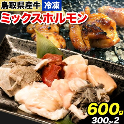 鳥取県産牛 ミックスホルモン 600g やまのおかげ屋《90日以内に出荷予定(土日祝除く)》鳥取県 八頭町 和牛 ホルモン 小腸 大腸 ハチノス ハート センマイ ミックス 2091189 - 鳥取県八頭町