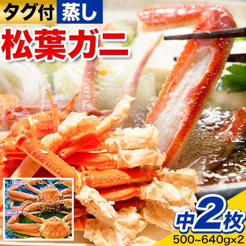 【蒸し】タグ付き松葉ガニ 中2枚(1枚500～640g) 高間商店《11月中旬-3月下旬頃出荷》鳥取県 八頭町 送料無料 カニ 蟹 松葉ガニ タグ付き ブランド 2091205 - 鳥取県八頭町