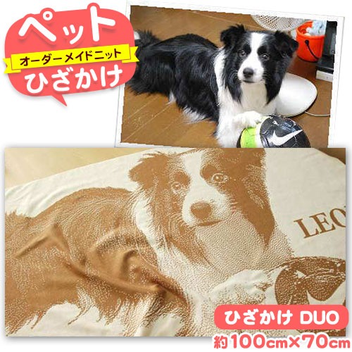 ペットオーダーメイドニット ひざかけ「DUO」  有限会社 三浅あみものセンター 《90日以内に出荷予定(土日祝除く)》鳥取県 八頭町 思い出 オーダーメイド ひざかけ ペット ニット 2091219 - 鳥取県八頭町