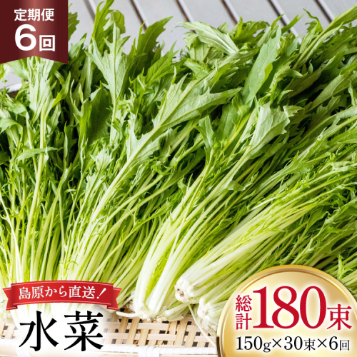 AI339 定期便 6回 水菜 30束 [ 野菜 みずな サラダ やさい 冷蔵 葉物野菜 田中農園 長崎県 島原市 ] 2091348 - 長崎県島原市