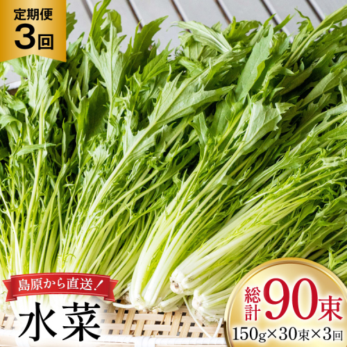 AI338 定期便 3回 水菜 30束 [ 野菜 みずな サラダ やさい 冷蔵 葉物野菜 田中農園 長崎県 島原市 ] 2091349 - 長崎県島原市