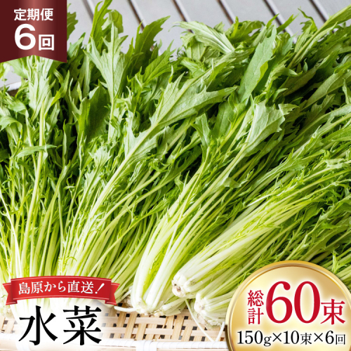 AI336 定期便 6回 水菜 10束 [ 野菜 みずな サラダ やさい 冷蔵 葉物野菜 田中農園 長崎県 島原市 ] 2091354 - 長崎県島原市