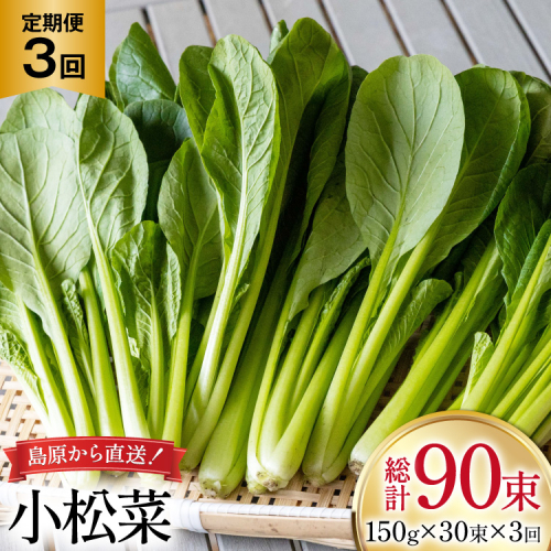 AI332 定期便 3回 小松菜 30束 [ 野菜 こまつな やさい 冷蔵 葉物野菜 田中農園 長崎県 島原市 ] 2091672 - 長崎県島原市