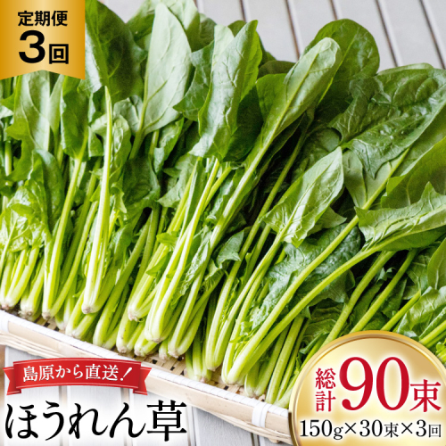 AI326 定期便 3回 ほうれん草 30束 [ 野菜 ホウレン草 やさい ホウレンソウ 冷蔵 葉物野菜 田中農園 長崎県 島原市 ] 2091733 - 長崎県島原市