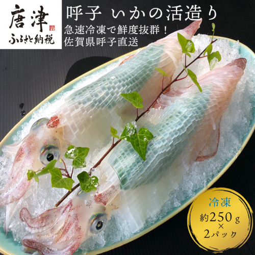 『先行予約』呼子のいか活造り2杯! コリコリ甘い鮮度抜群の透明感! 約250g×2(合計約500g) 刺身 ギフト 冷凍 ※水揚げあり次第7月以降順次発送させていただきます。 2092761 - 佐賀県唐津市