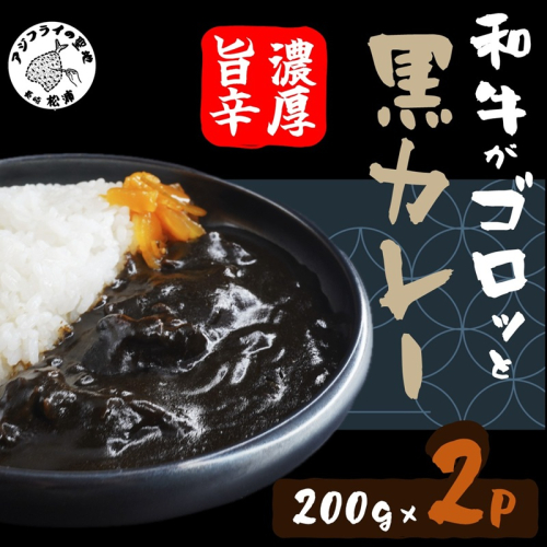 和牛がゴロッと黒カレー 200g×2P ( カレー 和牛 和牛カレー 冷凍 簡単 )【A6-025】 2093071 - 長崎県松浦市