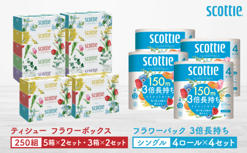 【スコッティ】ティシュー フラワーボックス 250組（5箱パック×2セット・3箱パック×2セット）＋フラワーパック 3倍長持ち（4ロール(シングル)パックx4セット）ティッシュ トイレットペーパー 日用品 2093574 - 熊本県八代市