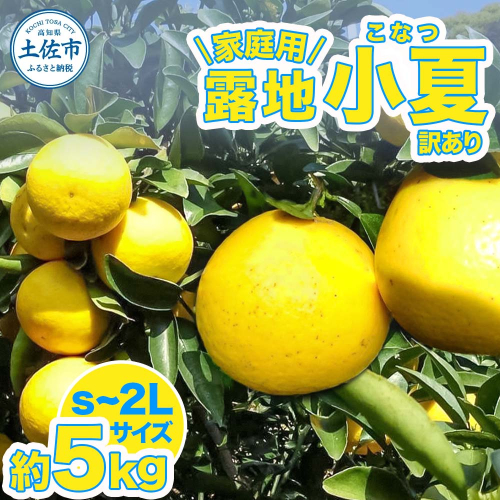 露地小夏 約5kg 小夏 訳あり 家庭用 S～2Lサイズ こなつ 糖度13度以上 5キロ フルーツ 果物 デザート 柑橘 お取り寄せ おいしい 美味しい 減農薬 ご自宅用 2095524 - 高知県土佐市