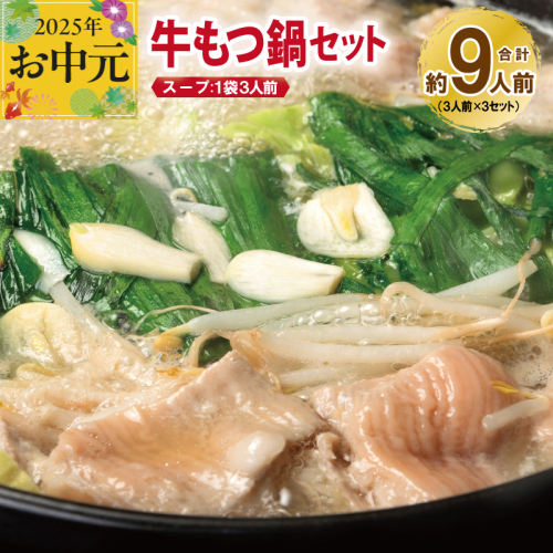 【お中元】 牛もつ鍋セット スープ付 合計約9人前【味付け 小分け 牛肉 ホルモン 醤油ベーススープ 簡単調理 3人前×3セット】 099H3382t 2095586 - 大阪府泉佐野市