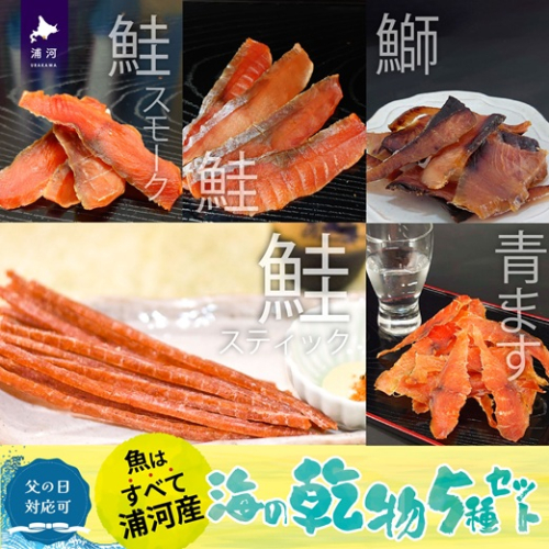 【父の日対応】北海道日高産 海鮮乾物5種セット[25-1459] 2096289 - 北海道浦河町