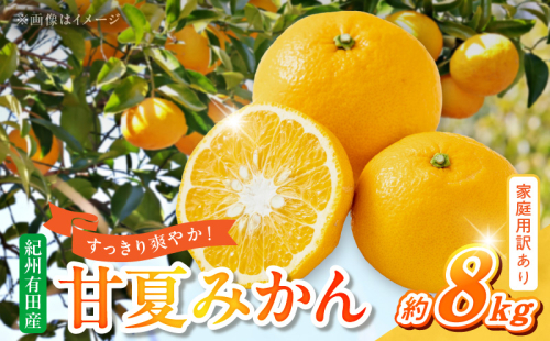 G7362_【2026年先行予約】【ご家庭用】【訳あり】紀州有田産　すっきり爽やか　甘夏みかん　８kg 2096320 - 和歌山県湯浅町