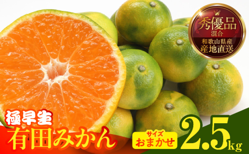 MK1073_【2025年先行予約】みかん 極早生 箱込 2.5kg ( 内容量2.3kg ) おまかせサイズ（S/M/L）秀品・優品 の混合 有田みかん 和歌山県産 2096352 - 和歌山県湯浅町