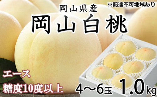 桃 2025年 先行予約 岡山 白桃 エース 4～6玉 約1kg JAおかやまのもも（早生種・中生種） もも モモ 岡山県産 国産 フルーツ 果物 ギフト  210208 - 岡山県瀬戸内市
